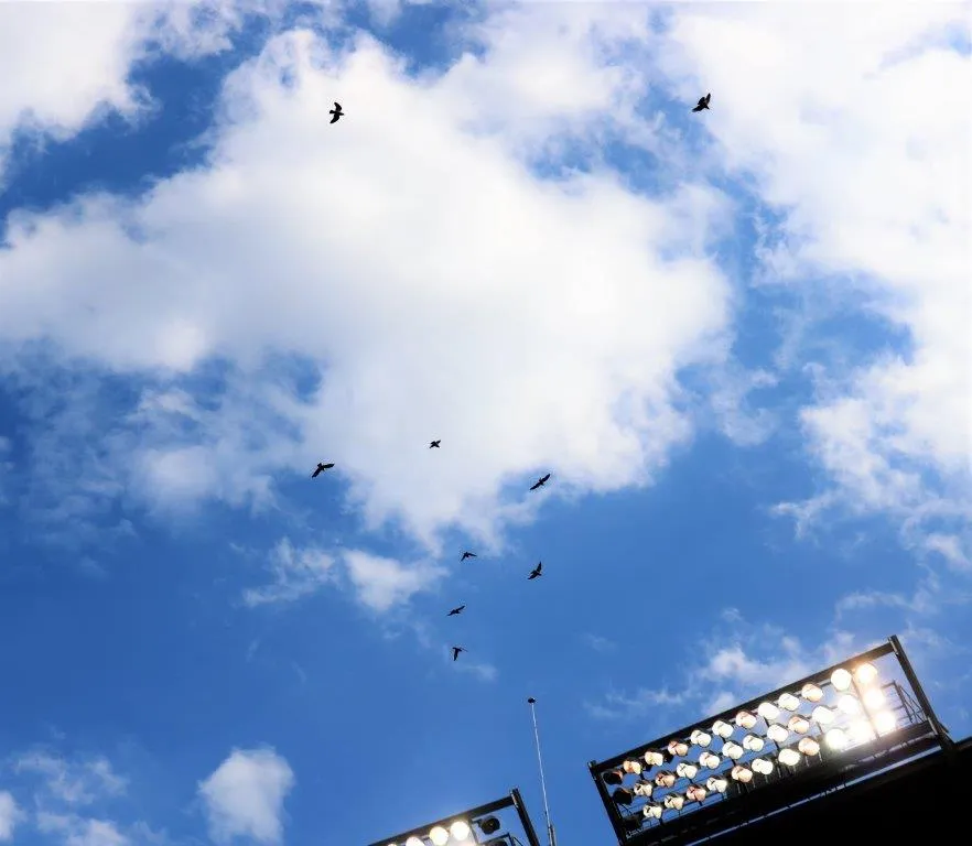 Nationals Community Spotlight Event Flyover