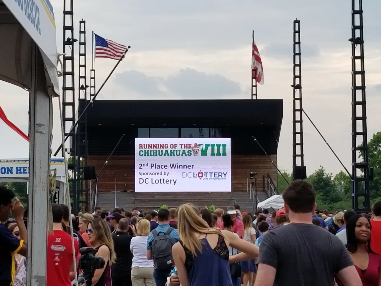 crowd